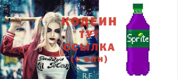 экстази Гусев