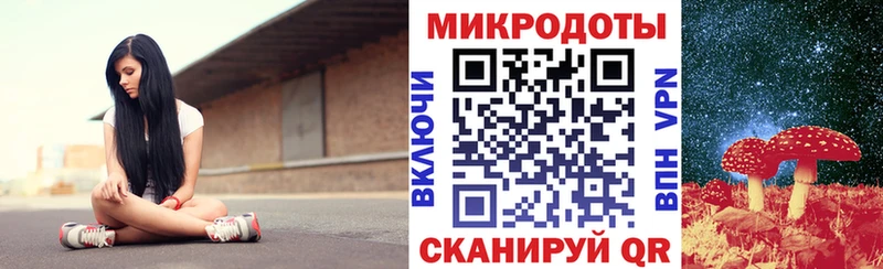 Псилоцибиновые грибы Psilocybine cubensis  Нея 