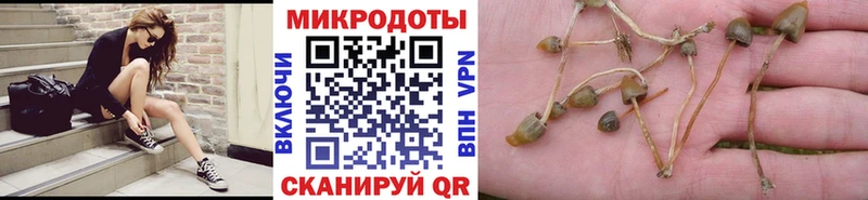 Галлюциногенные грибы ЛСД Нея